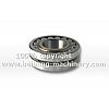 XD121E Bearing 800511397