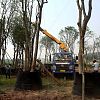 Telescoping Boom Type SQ4SK2Q