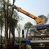 Telescoping Boom Type SQ4SK3Q